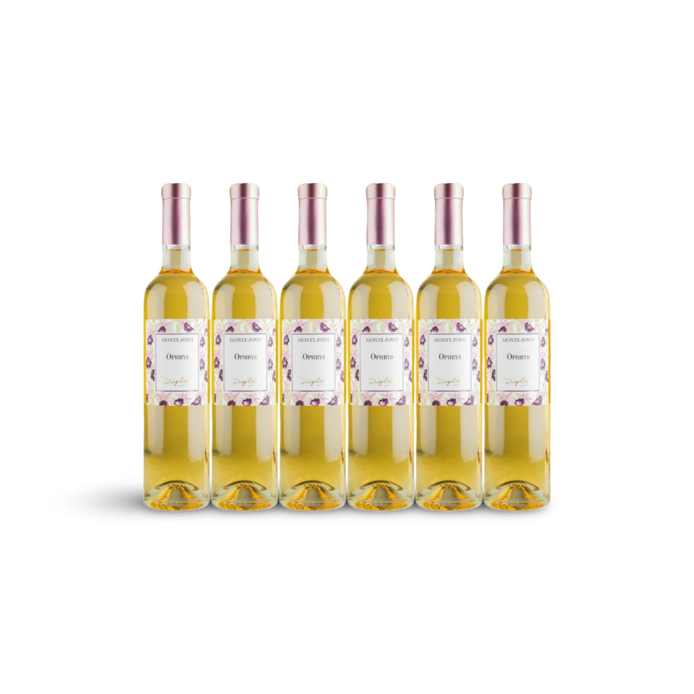 Ophrys Passito Bianco Veneto IGT BIO von Monte Zovo, Süßwein aus Venetien Italien, IGT 6er Pack, Vorteilspack im Karton