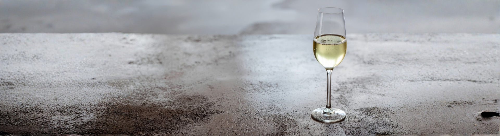 Schaumweine wie Sekt, Prosecco und Champagner – hochwertige prickelnde Weine bei Feinkost Koch
