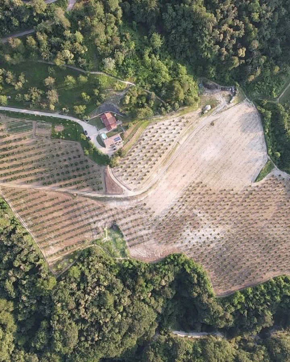 Altalanga Azienda Agricola im Piemont – biologische Haselnüsse und hochwertige Nuss-Spezialitäten jetzt bei Feinkost Koch online kaufen
