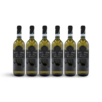 TREBBIANO D'ABRUZZO DOC 2022 BIOLOGICO