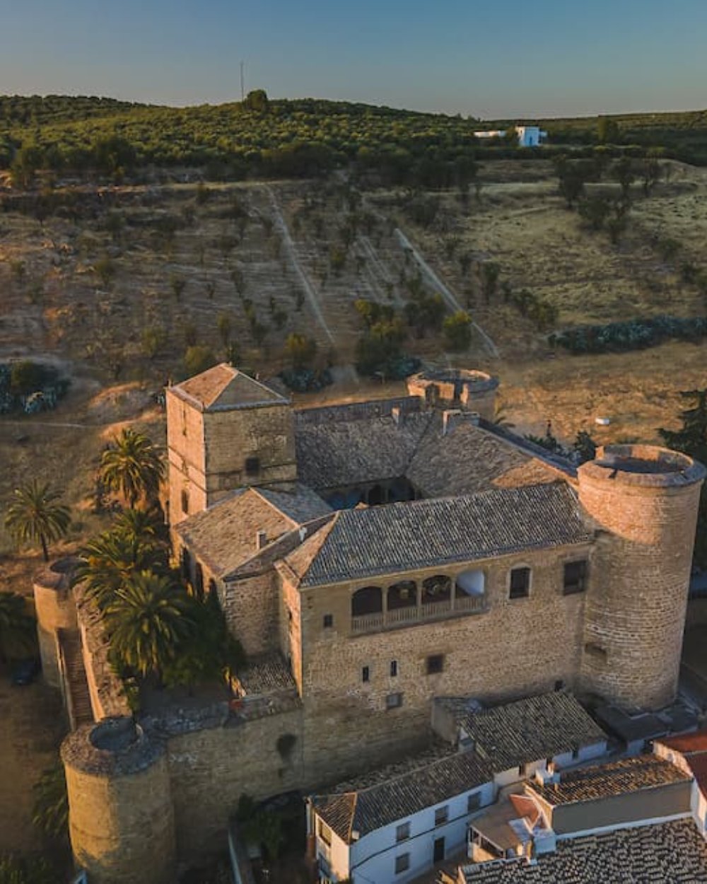 Castillo de Canena aus Andalusien – preisgekröntes natives Olivenöl extra jetzt bei Feinkost Koch online kaufen