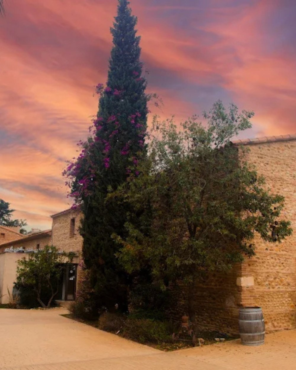 Domaine Lafage Weingut im Roussillon – französische Premiumweine jetzt bei Feinkost Koch online kaufen