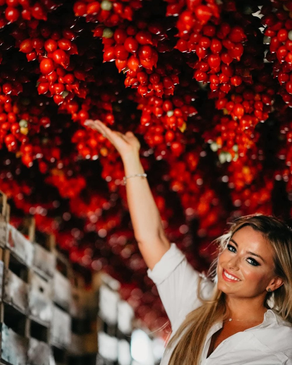 San Marzano Tomaten DOP am Fuße des Vesuvs von Italianavera – italienische Premium Tomaten bei Feinkost Koch entdecken