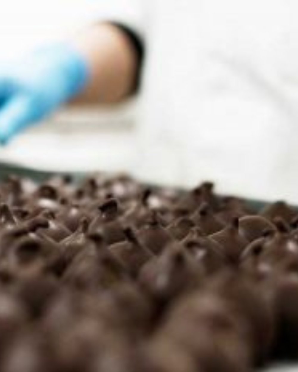 Rabitos Royale Feigenpralinen von La Higuera – spanische Premium Delikatesse bei Feinkost Koch entdecken