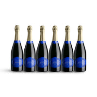 Garda DOC Spumante Brut von Monte Zovo, Schaumwein aus Italien, DOC 6er Pack, Vorteilspack im Karton