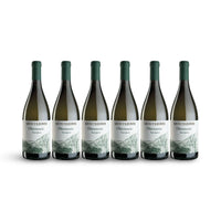 OLTREMONTE SAUVIGNON VERONA IGT BIO 2024