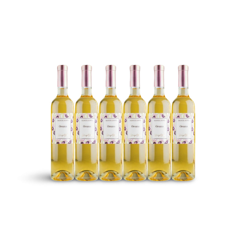 Ophrys Passito Bianco Veneto IGT BIO von Monte Zovo, Süßwein aus Venetien Italien, IGT 6er Pack, Vorteilspack im Karton