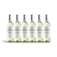 PINOT GRIGIO DELLE VENEZIE DOC 2024