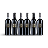 Sessantanni Primitivo di Manduria DOP von Cantine San Marzano, Rotwein aus Apulien Italien, DOP 6er Pack, Vorteilspack im Karton