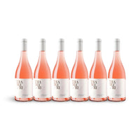 TRAMARI ROSE DI PRIMITIVO SALENTO IGP 2024