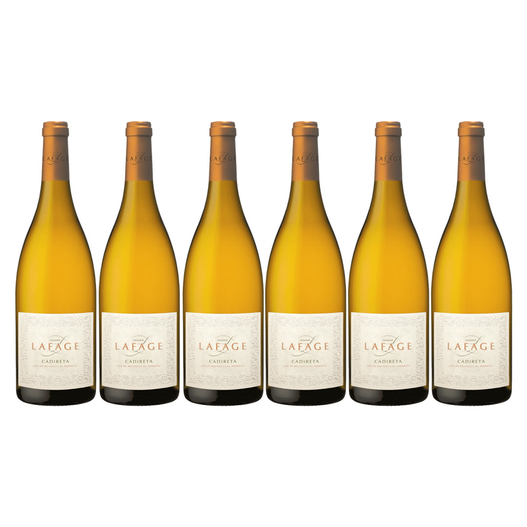 CADIRETA CHARDONNAY COTES CATALANES IGP 2024 - im 6er Pack