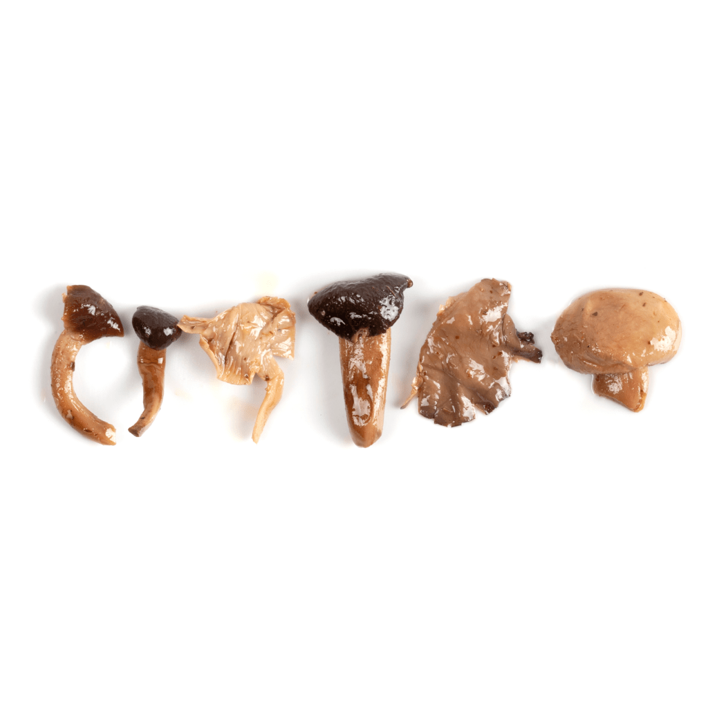 Eingelegte Pilze MISTO FUNGHI, 260gr Eingelegte Pilze MISTO FUNGHI, 260gr